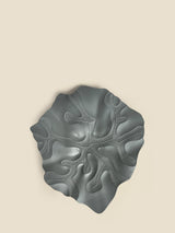 Rivana Plate