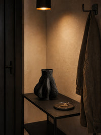 Vasi Vase
