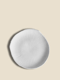 #white
