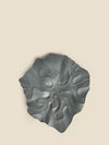 Rivana Plate