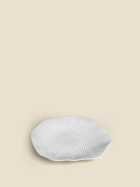 #white