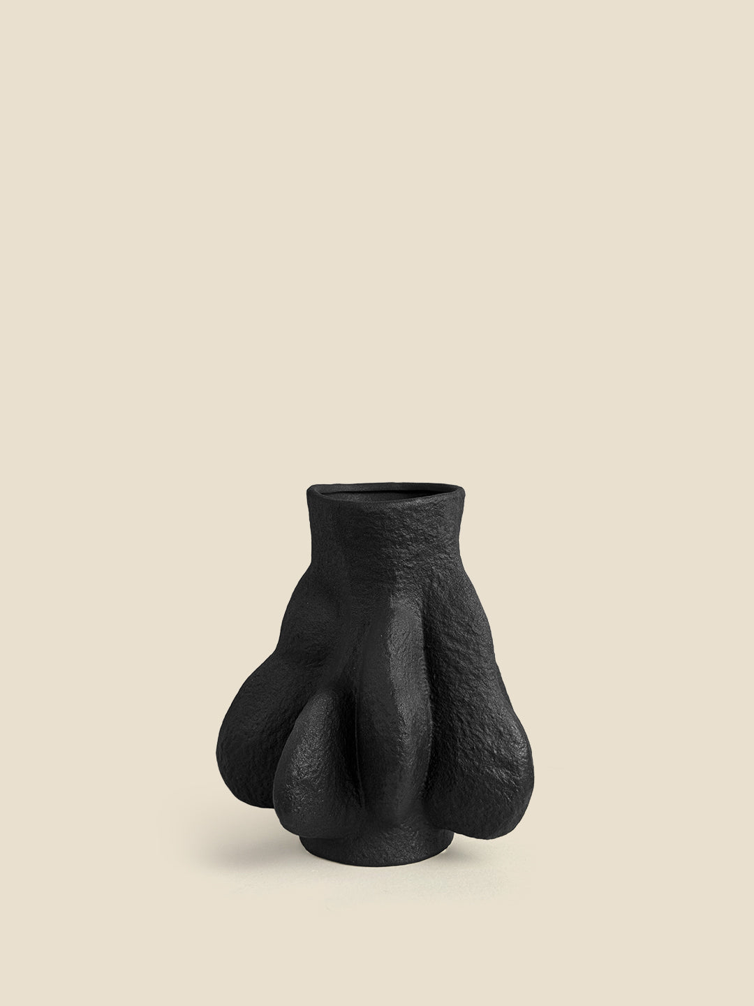 Vasi Vase