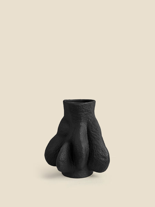 Vasi Vase