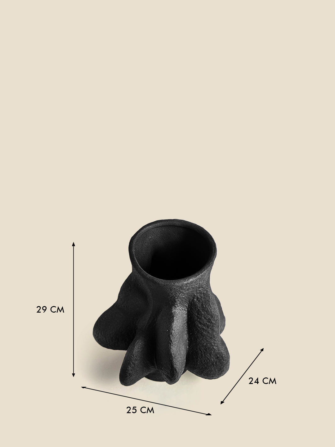Vasi Vase