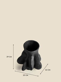 Vasi Vase