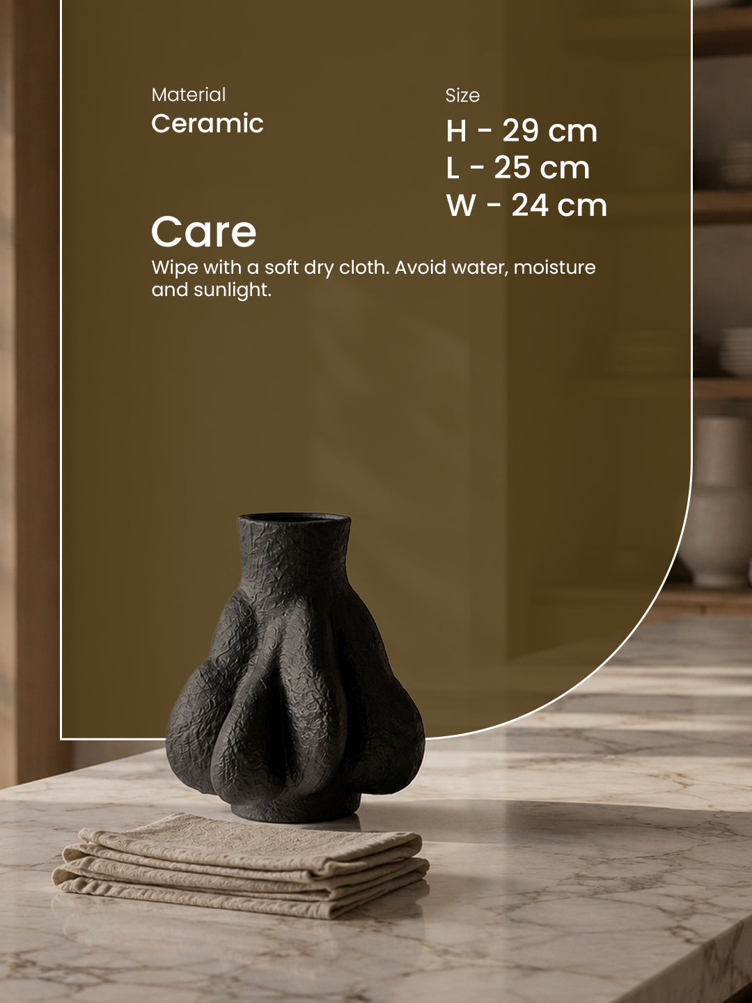 Vasi Vase
